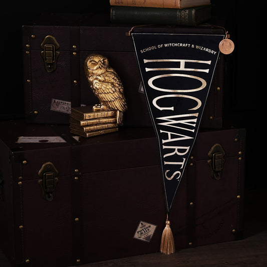 Harry Potter Hanging Banner Hogwarts