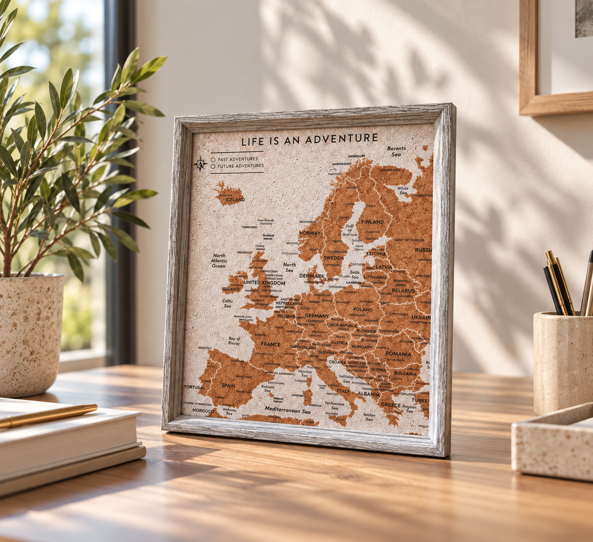 Travel Gifts Europe Travel Map With Pins Cork Board