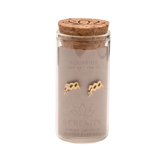 Zodiac 18k Gold Plated Earrings - Aquarius