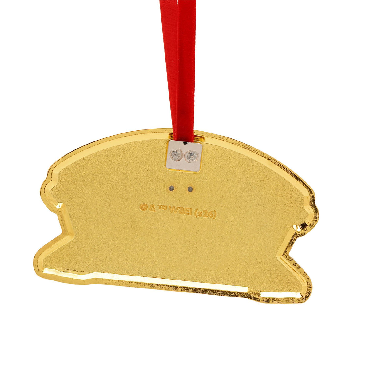 Harry Potter Christmas Decoration - Flying Lessons