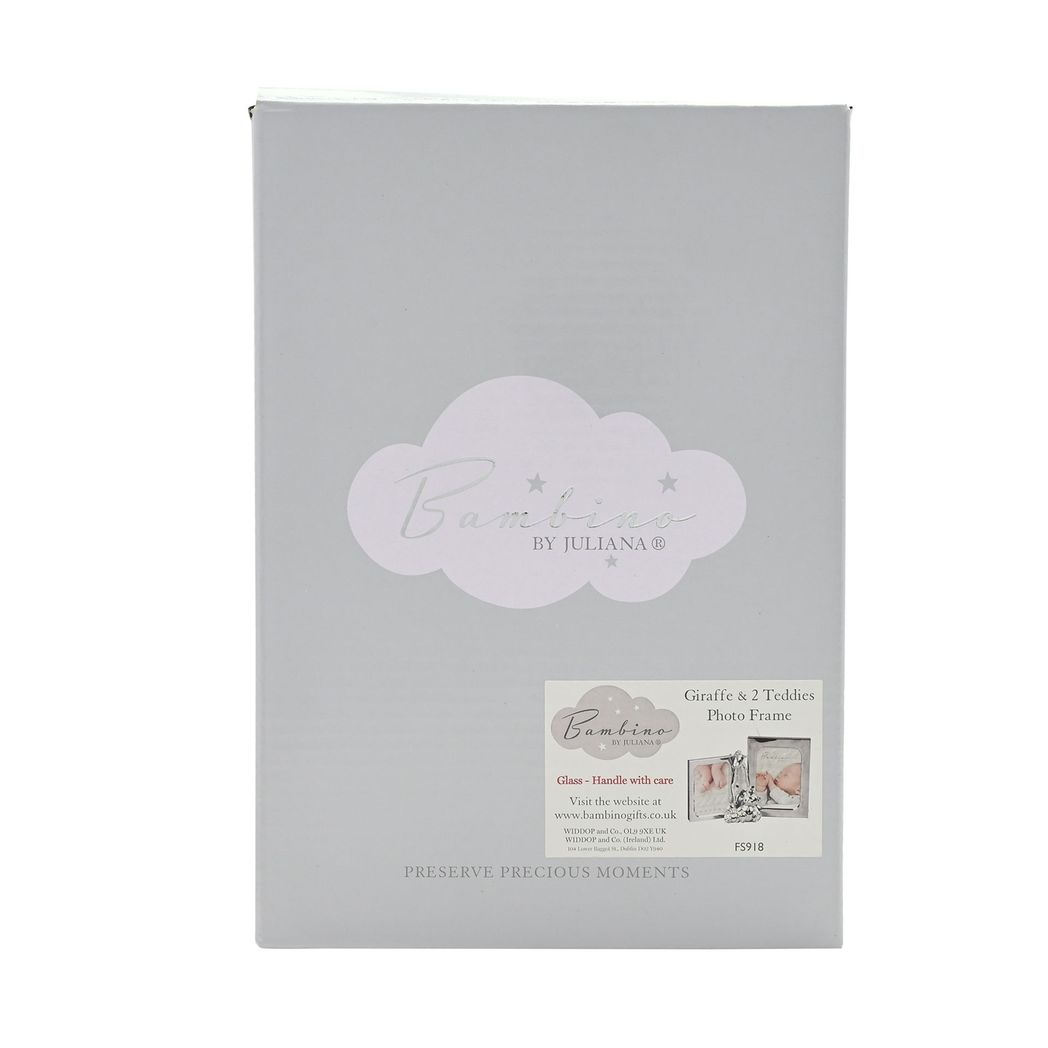 Double Photo Frame with Giraffe & 2 Teddies