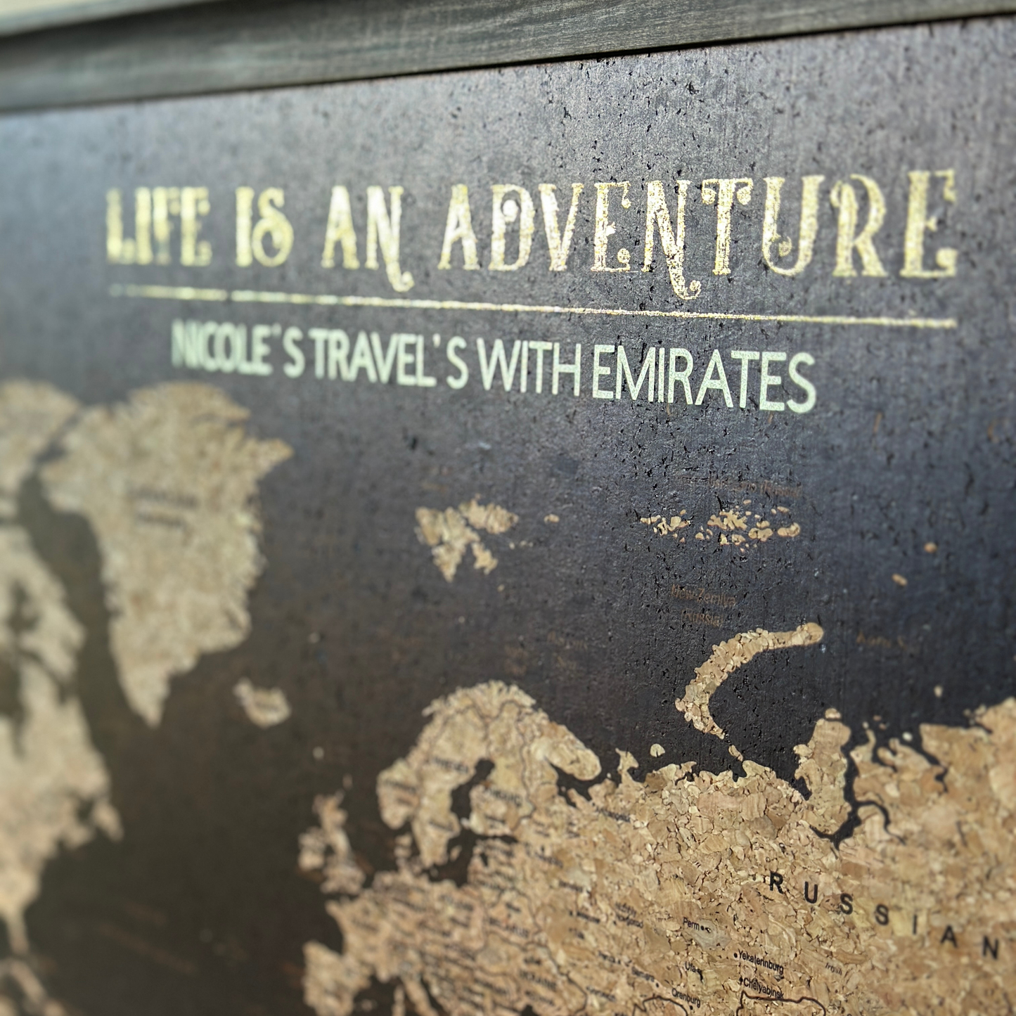 Travel Map With Push In Pins (Copy)