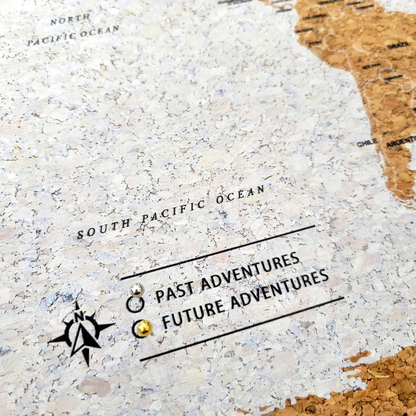 Travel Map With Push In Pins (Copy)