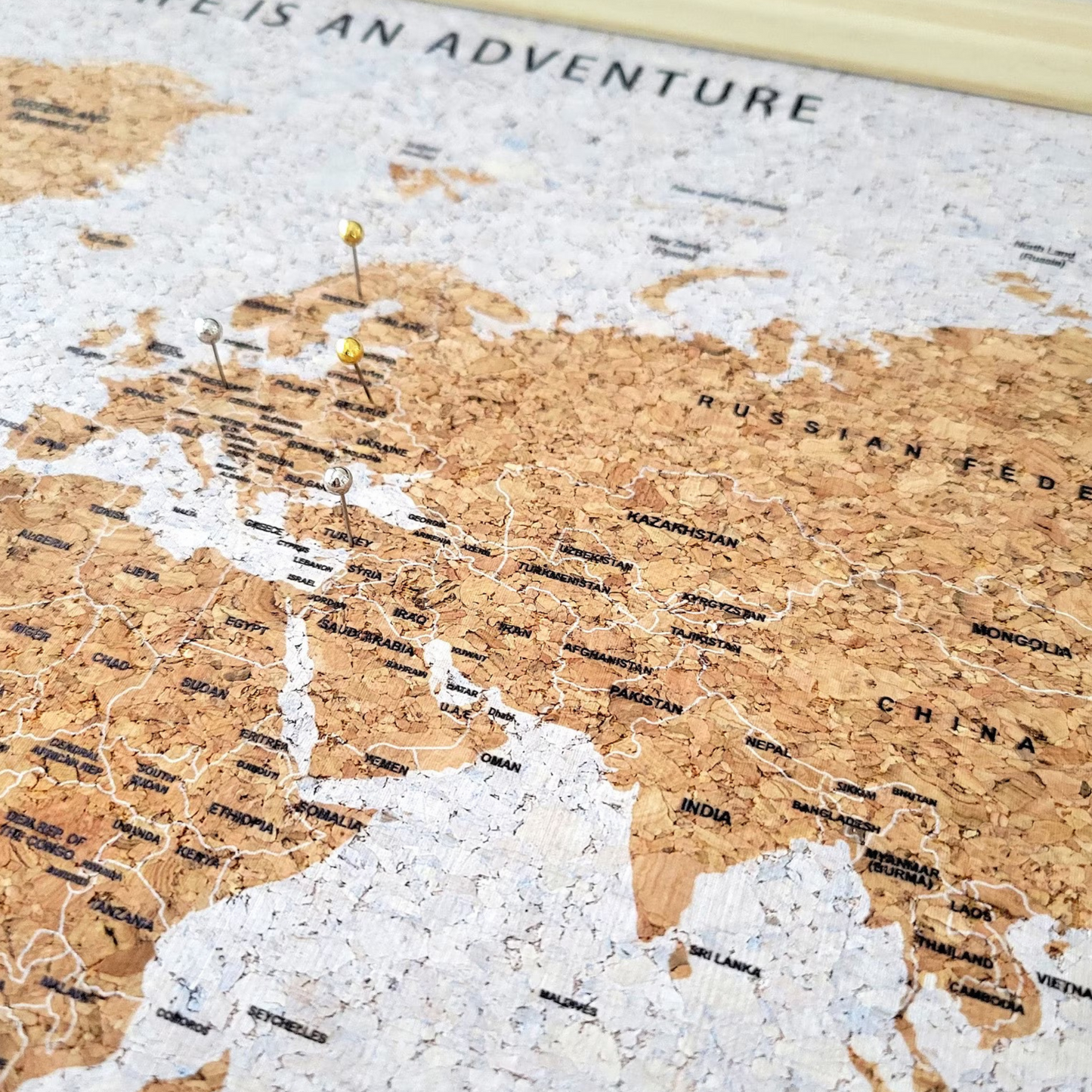 Travel Map With Push In Pins (Copy)
