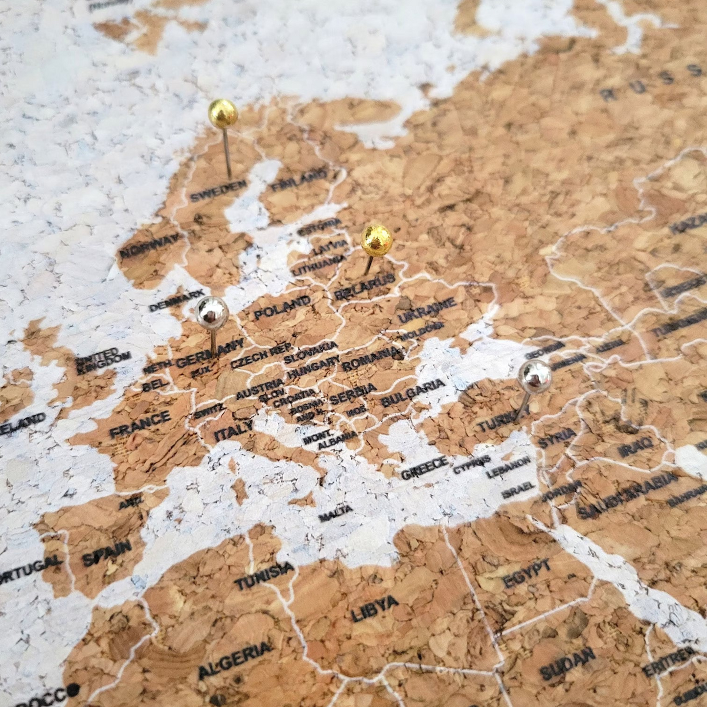 Travel Map With Push In Pins (Copy)