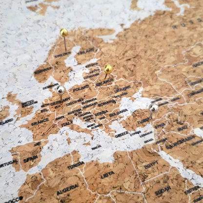 Travel Map With Push In Pins (Copy)