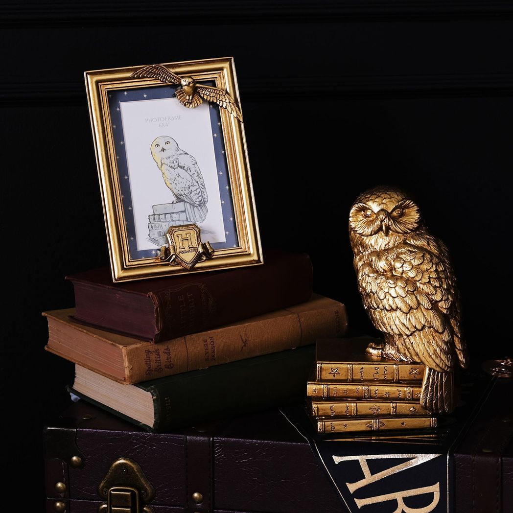 Harry Potter Gold Photo Frame Hedwig