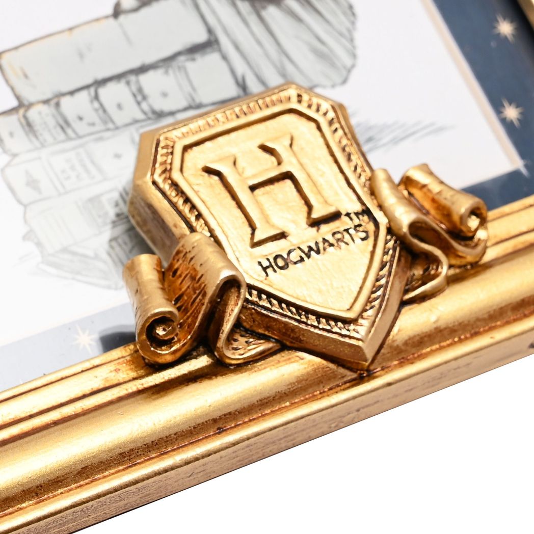Harry Potter Gold Photo Frame Hedwig