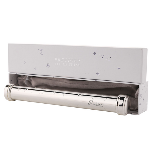 Silver Plated Celestial Baby Certificate Holder