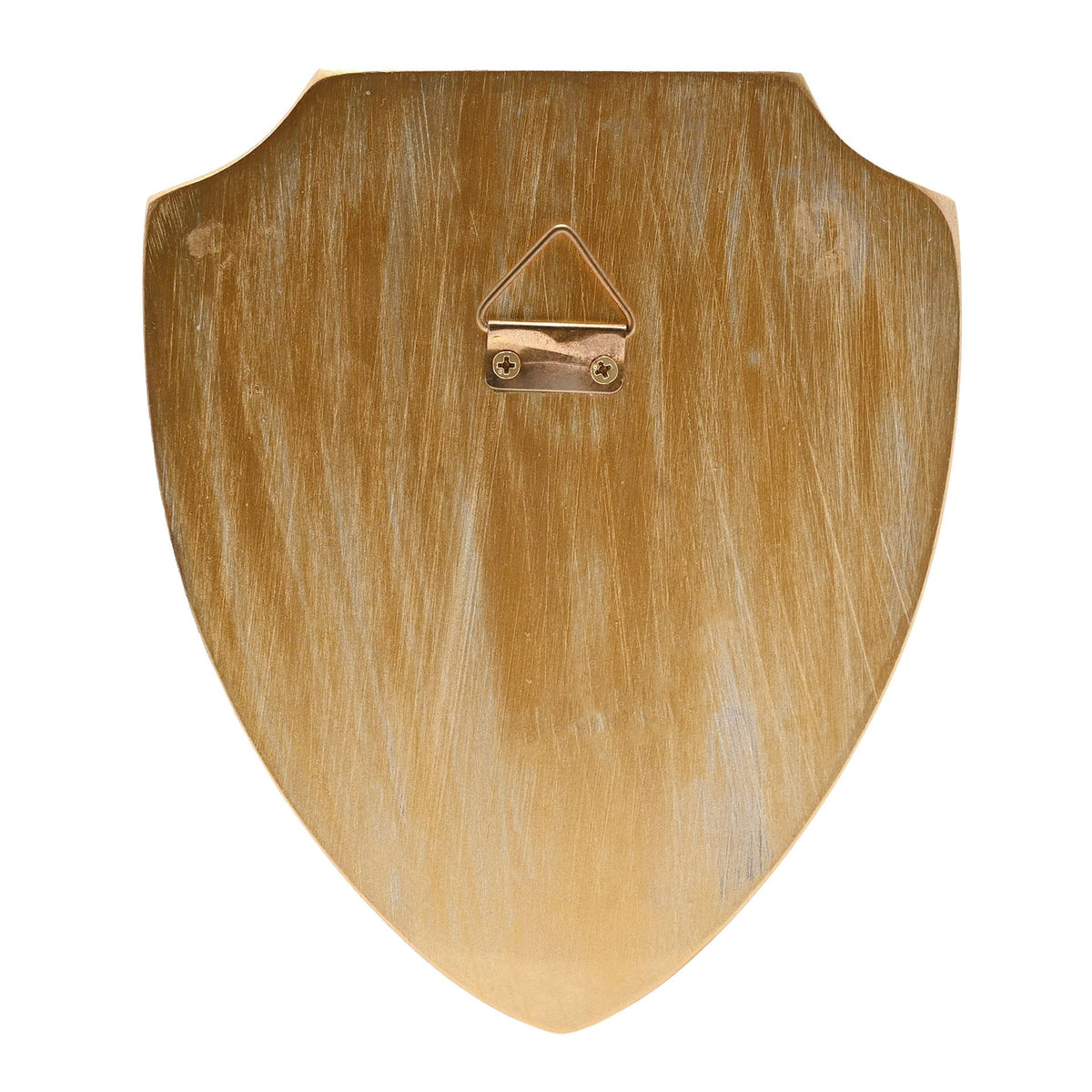 Harry Potter 3D Wall Art Hogwarts Crest Shield