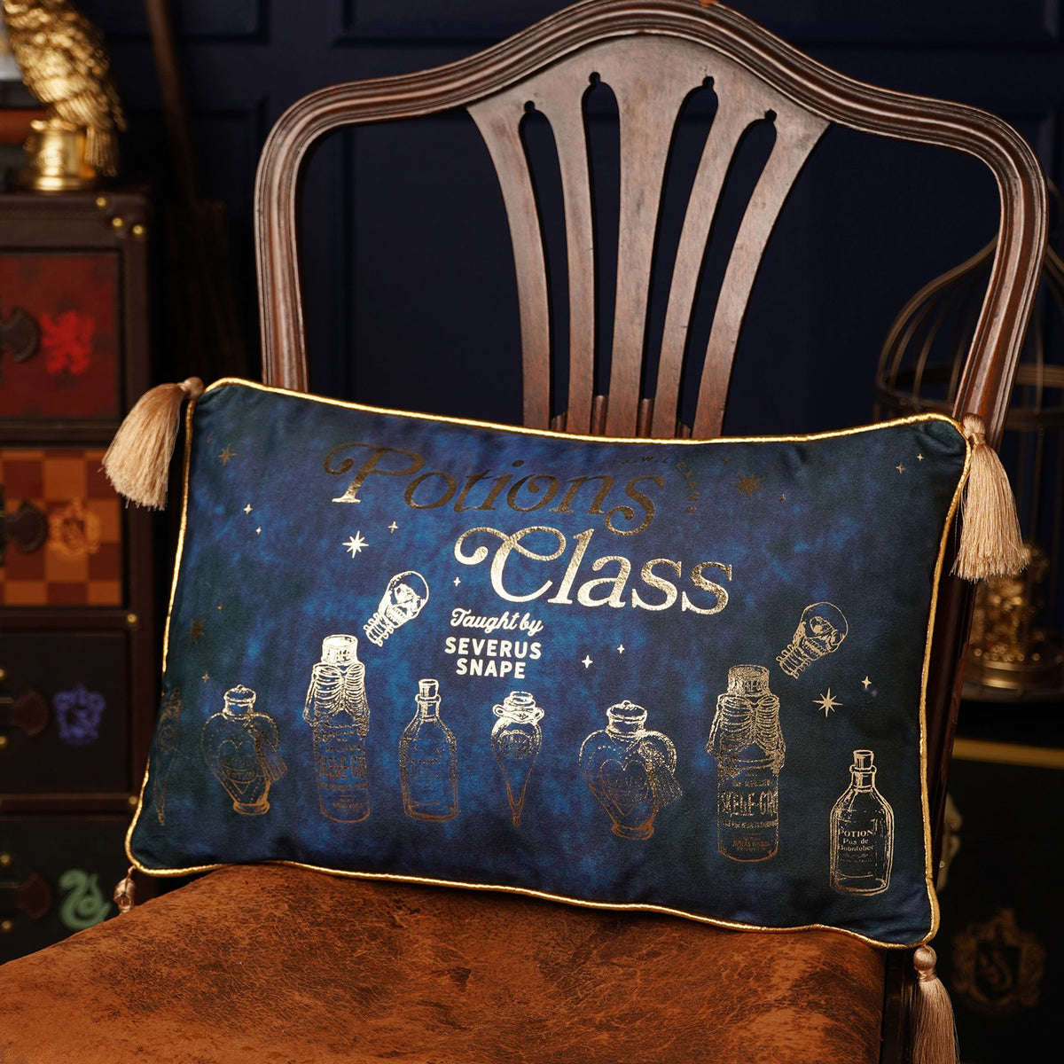 Harry Potter Velvet Cushion 50 x 30cm - Potions Class