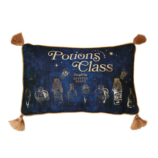 Harry Potter Velvet Cushion 50 x 30cm - Potions Class