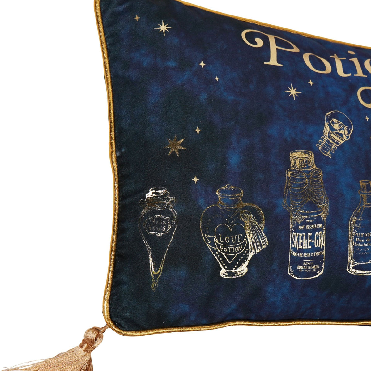 Harry Potter Velvet Cushion 50 x 30cm - Potions Class