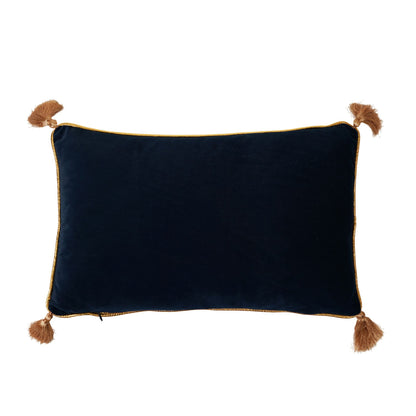 Harry Potter Velvet Cushion 50 x 30cm - Potions Class