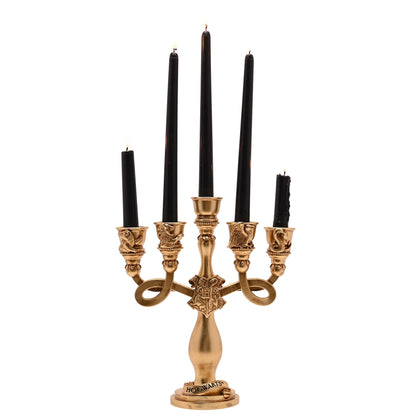 Harry Potter 3D Resin House Candelabra