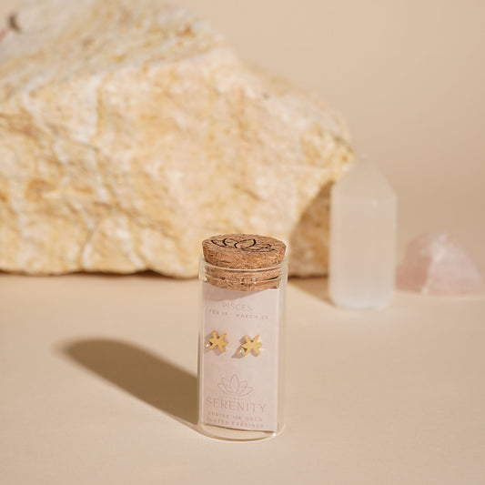 Zodiac 18k Gold Plated Earrings - Pisces