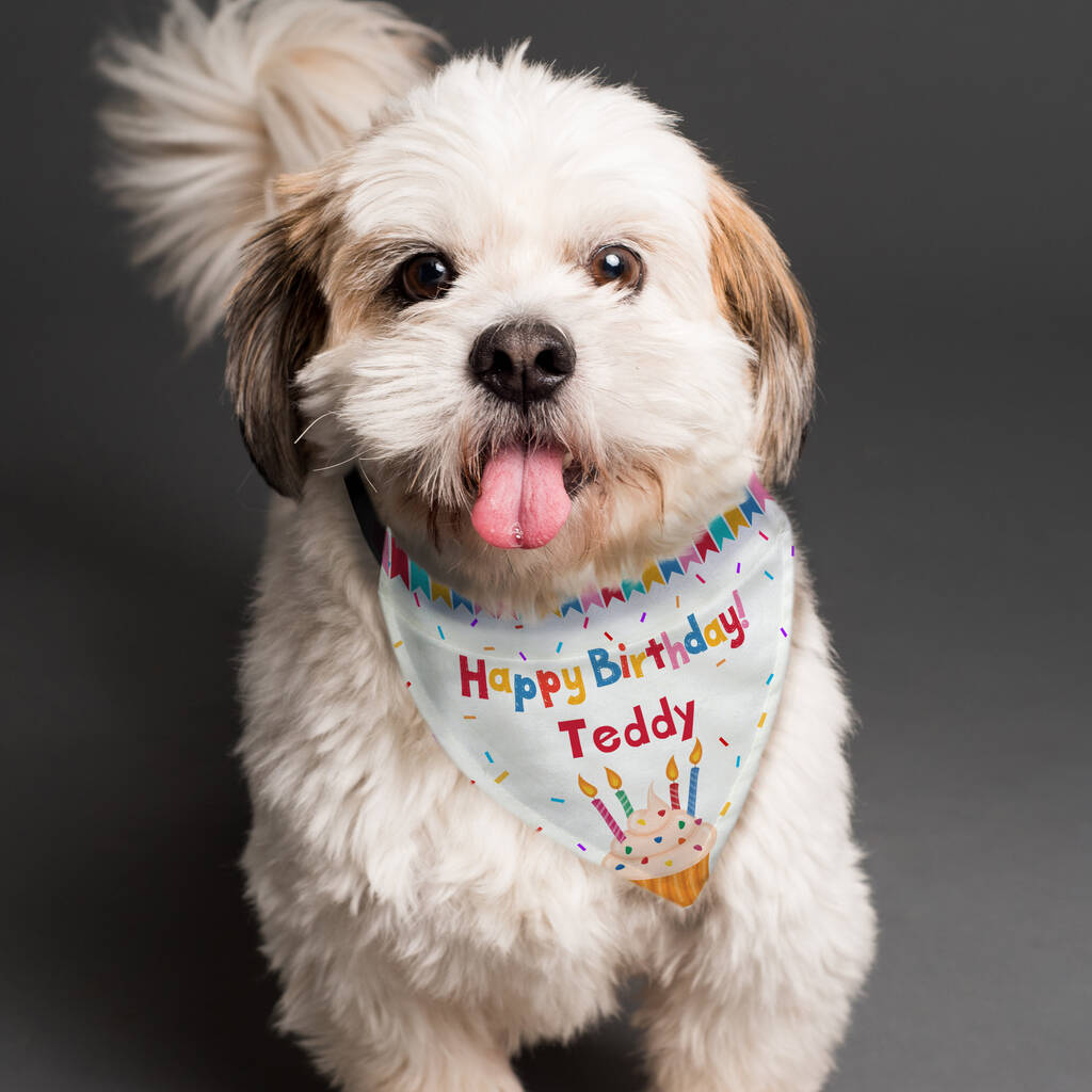 Dog Birthday Gifts Dog Bandana