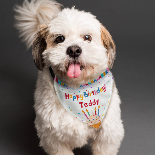 Dog Birthday Gifts Dog Bandana