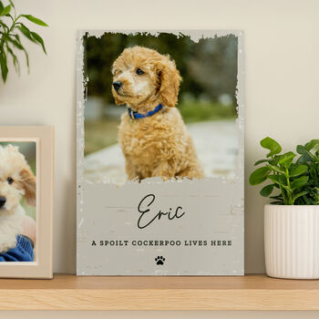 Dog House Sign Personalised Photo Gift