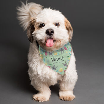 Easter Dog Bandana Personalised With Dog Name