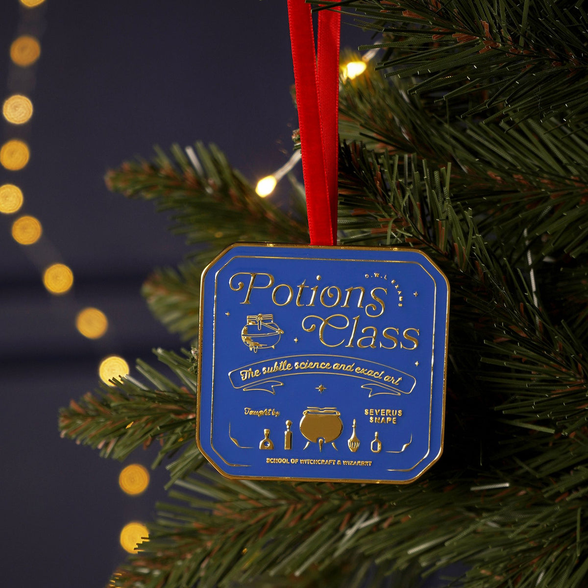 Harry Potter Christmas Decoration - Potions Class