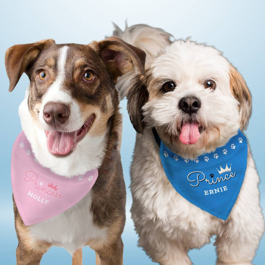 Funny Dog Bandana Dog Gifts