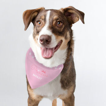 Funny Dog Bandana Dog Gifts