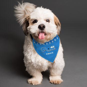 Funny Dog Bandana Dog Gifts