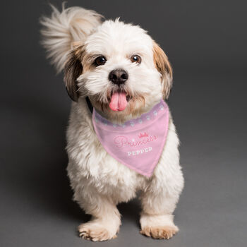 Funny Dog Bandana Dog Gifts