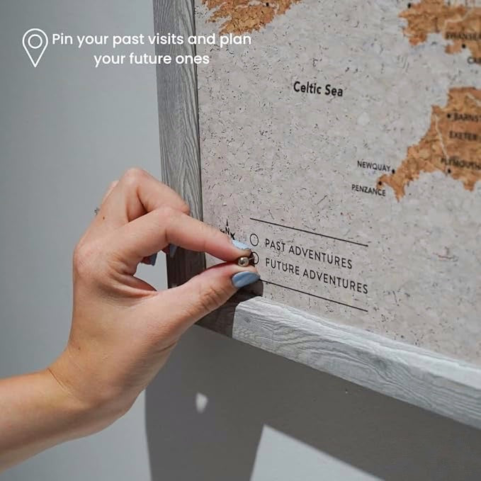 Travel Map With Push In Pins (Copy)