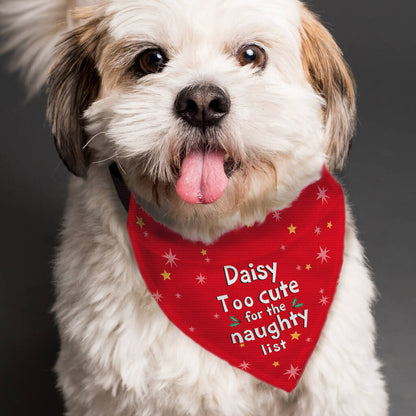 Personalised Christmas Dog Bandana Funny Dog Xmas Gifts