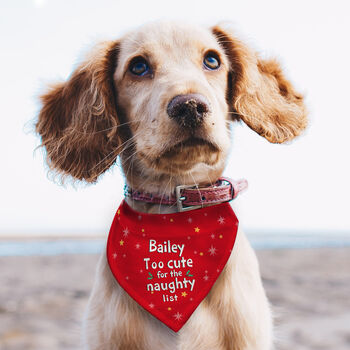 Personalised Christmas Dog Bandana Funny Dog Xmas Gifts