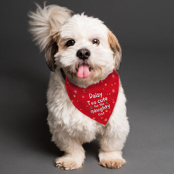 Personalised Christmas Dog Bandana Funny Dog Xmas Gifts