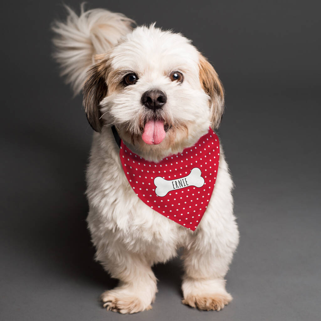 Personalised Dog Bandana Red Polka Dots