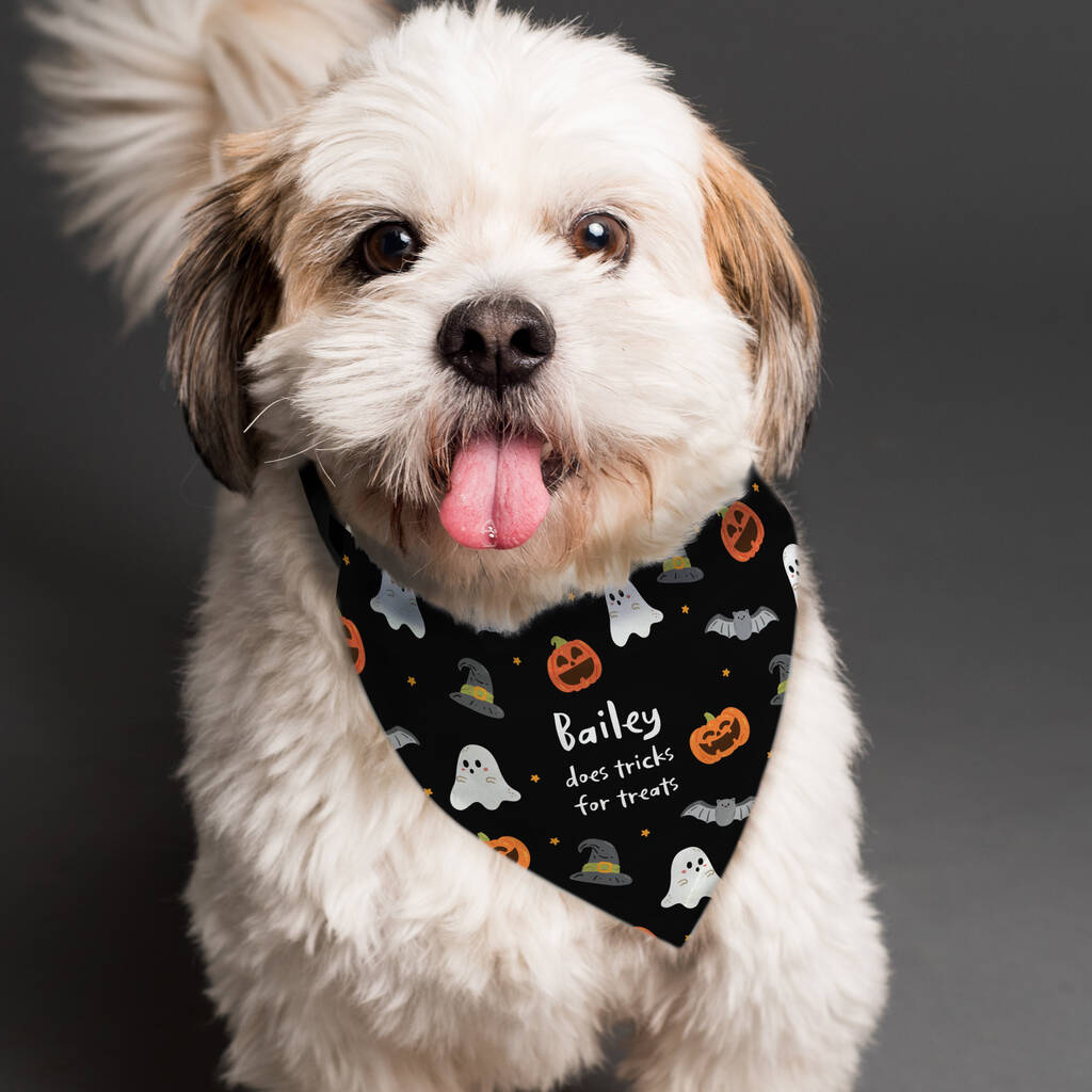 Personalised Halloween Dog Bandana Funny Dog Gifts