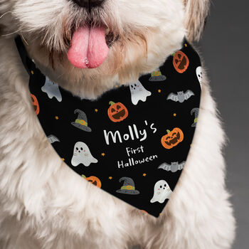 Personalised Halloween Dog Bandana Funny Dog Gifts