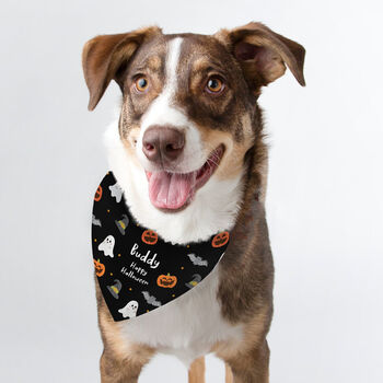 Personalised Halloween Dog Bandana Funny Dog Gifts