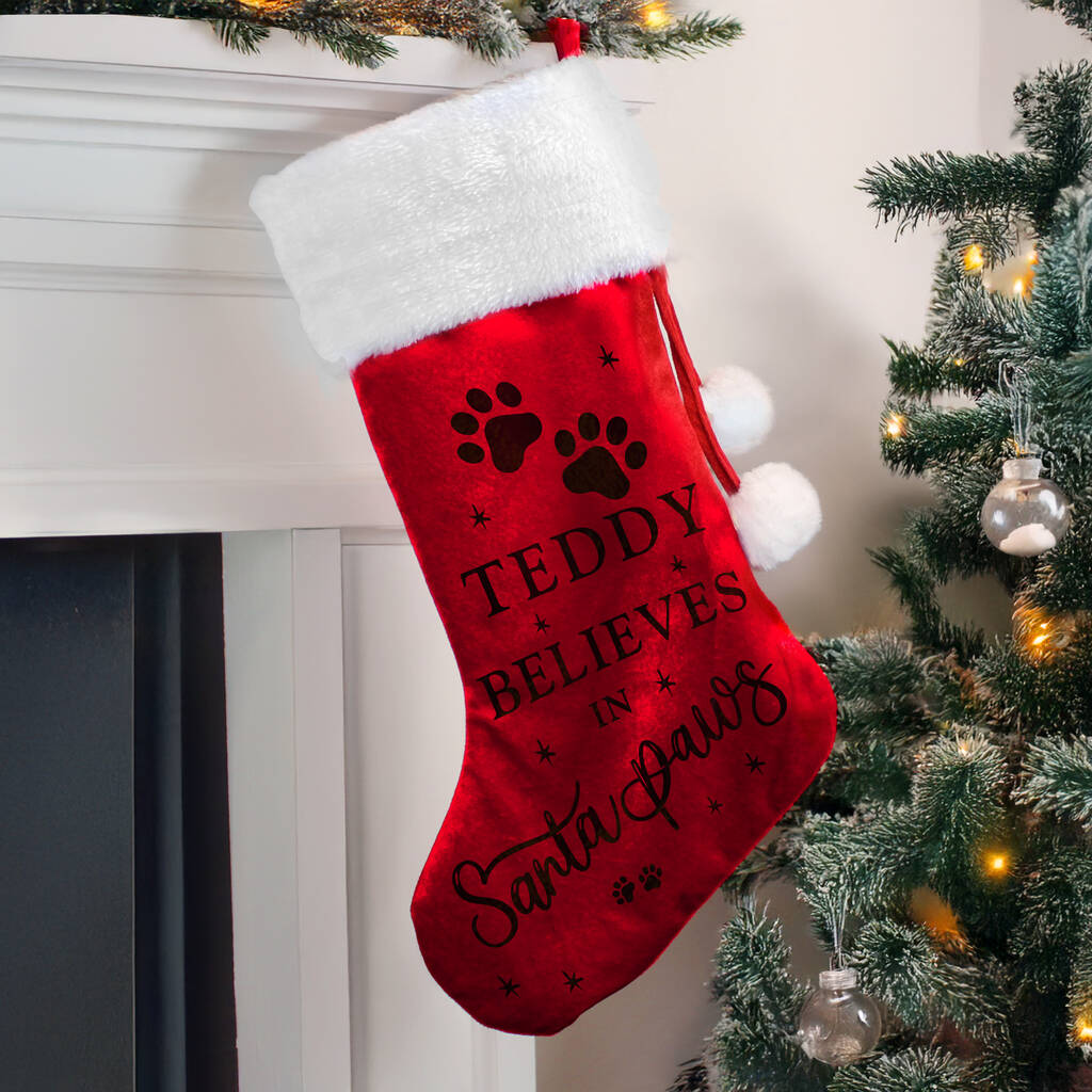 Personalised Pet Christmas Stocking Gift Santa Paws