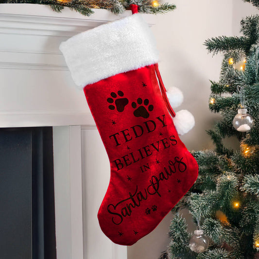 Personalised Pet Christmas Stocking Gift Santa Paws