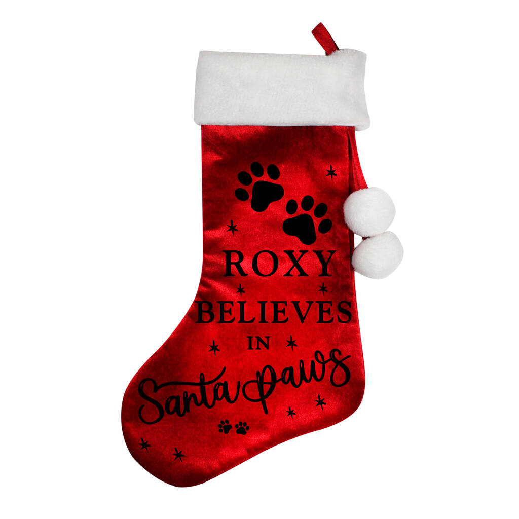 Personalised Pet Christmas Stocking Gift Santa Paws