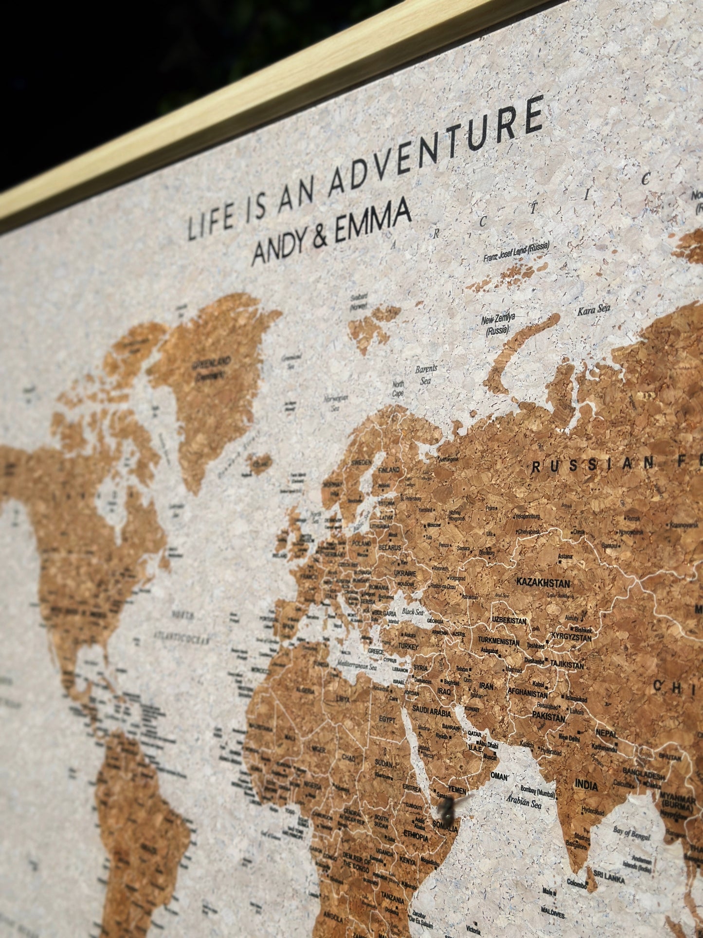 Travel Map With Push In Pins (Copy)