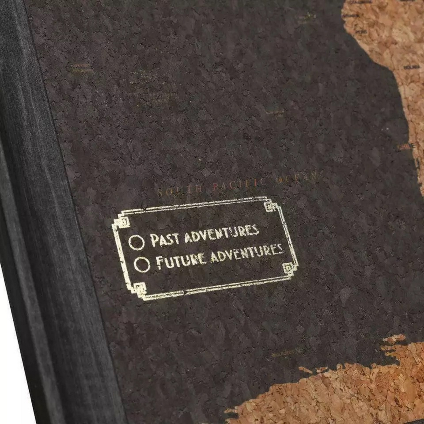 Travel Map With Push In Pins (Copy)