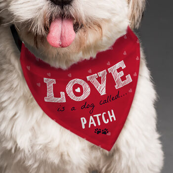 Valentines Dog Bandana Funny Dog Valentines Gifts