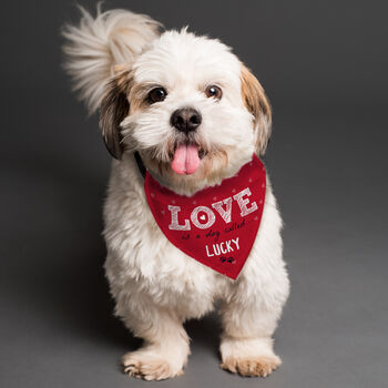 Valentines Dog Bandana Funny Dog Valentines Gifts