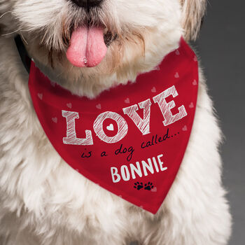 Valentines Dog Bandana Funny Dog Valentines Gifts